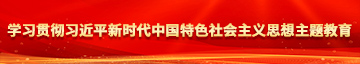 大鸡巴黑人操美女学习贯彻习近平新时代中国特色社会主义思想主题教育